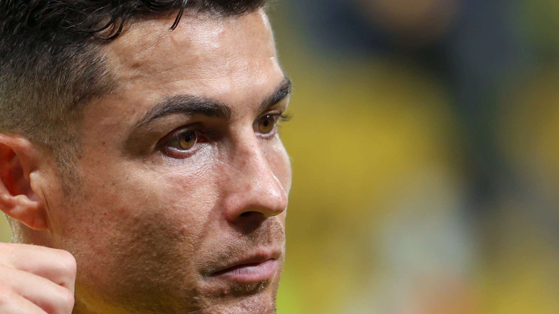 种全新的训 种全新的训