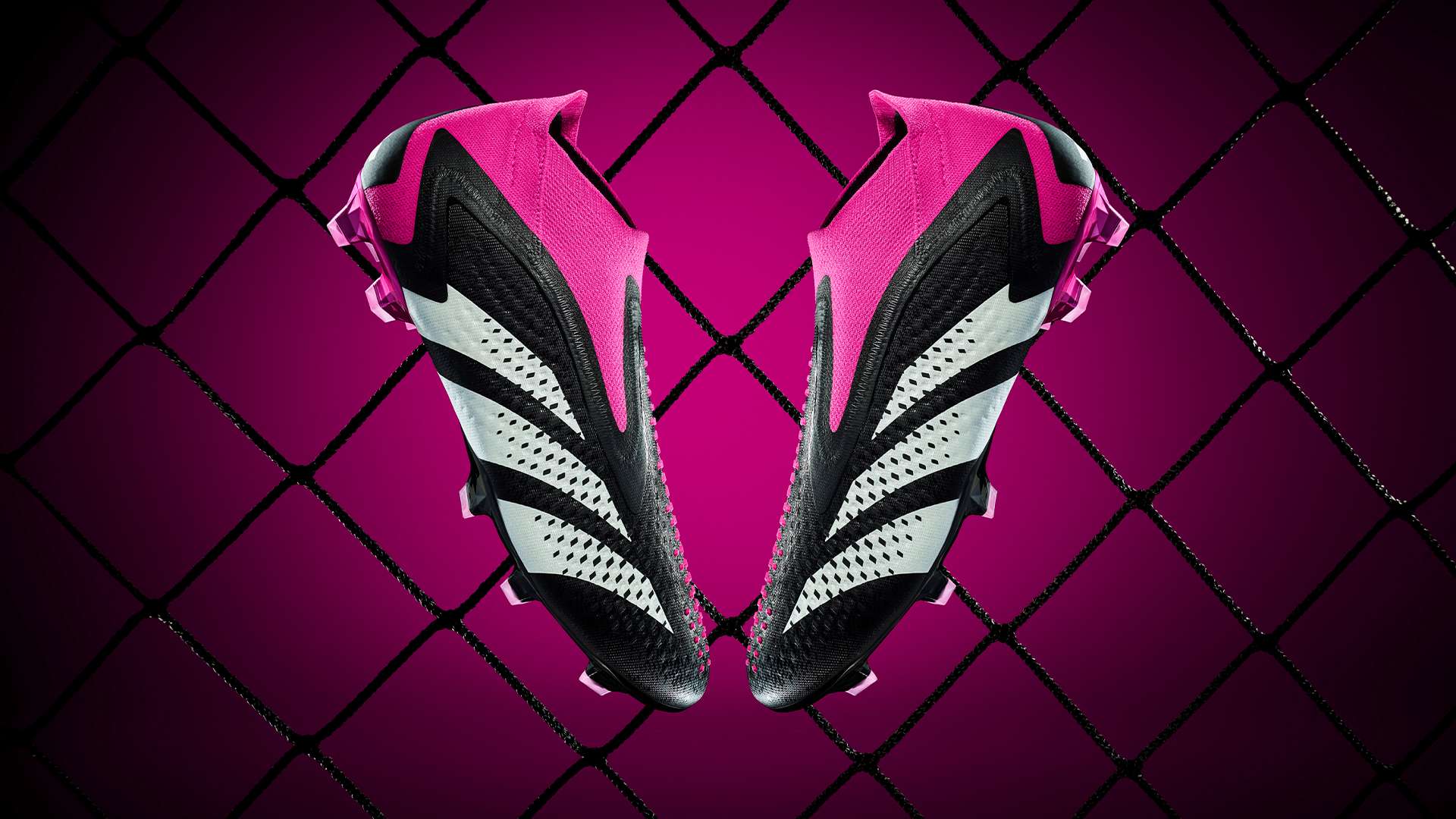 崭新的征程 崭新的征程