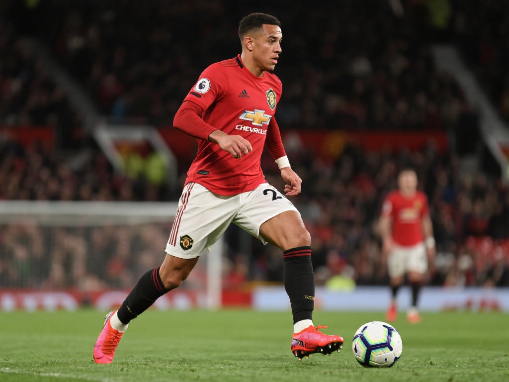 男队和女队 男队和女队