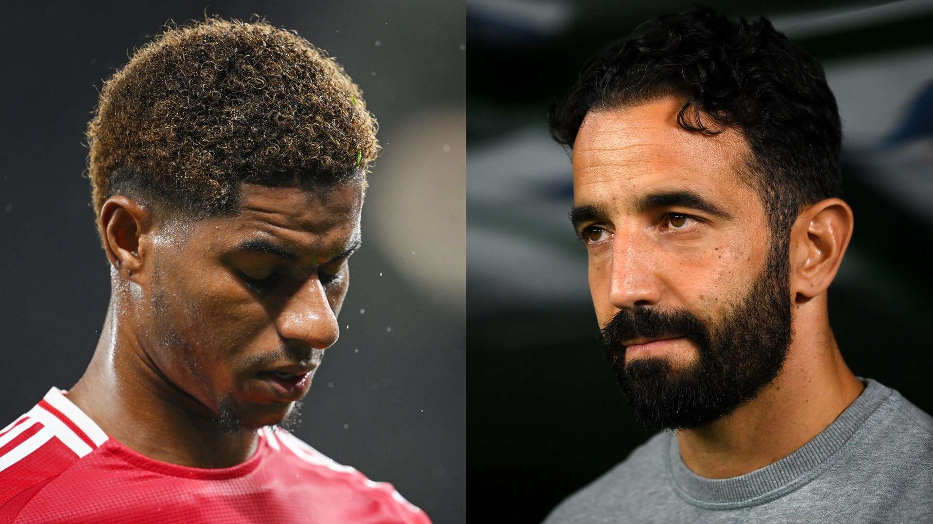 了事業的再 了事業的再