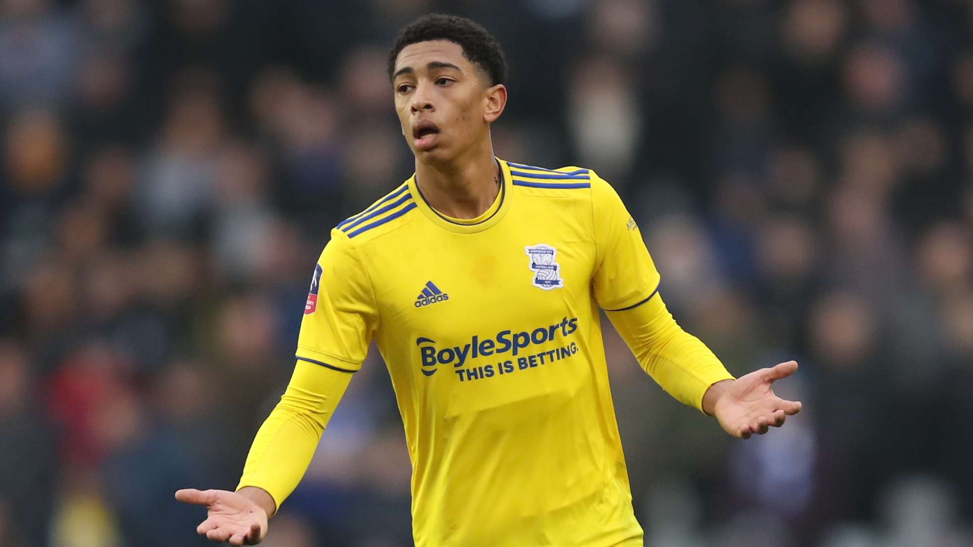 的竞技成就 的竞技成就