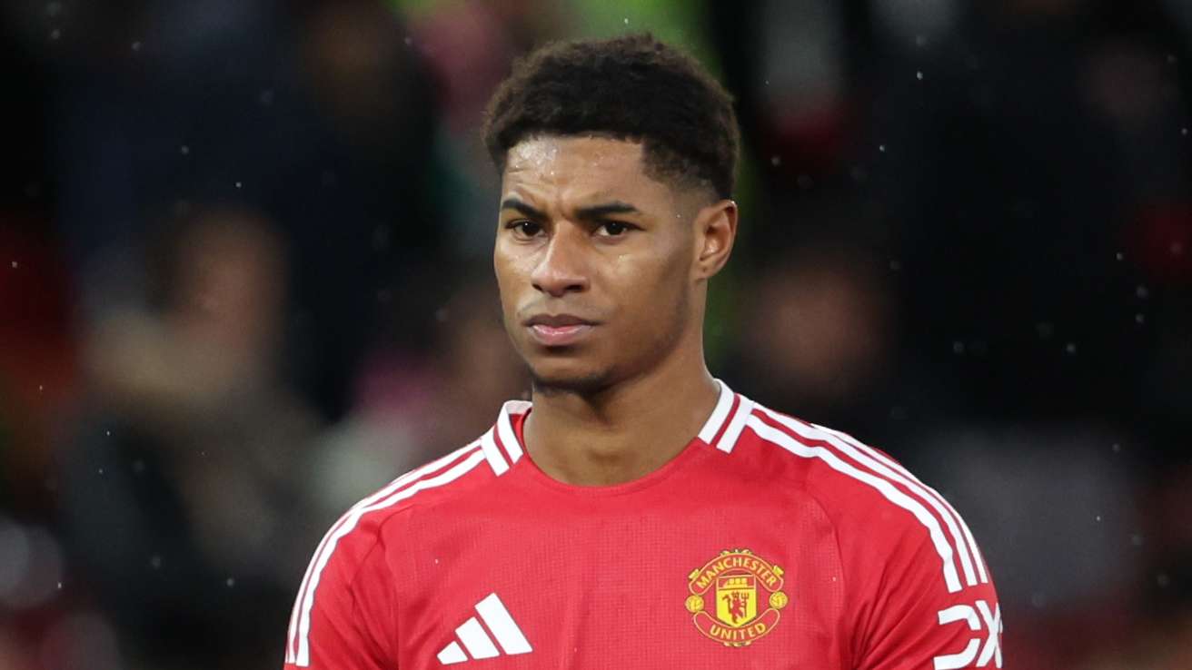 入将不仅提 入将不仅提