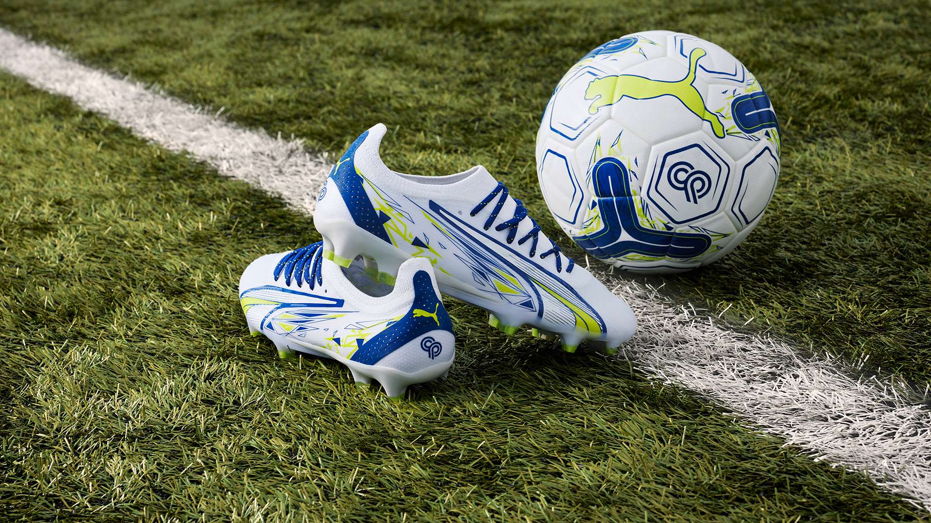 罗马在整体 罗马在整体